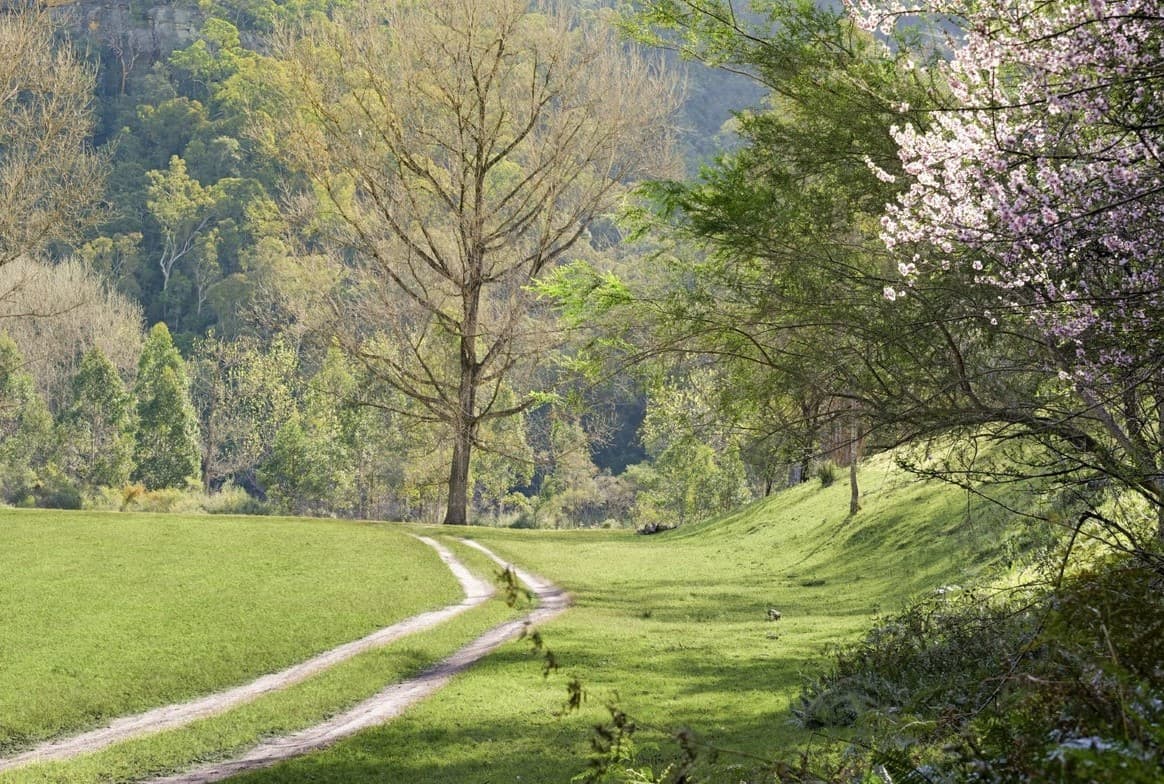 Farm track through the flats