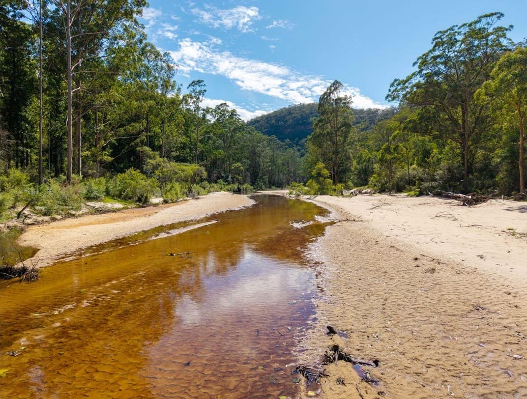 Sandy beach along Webbs Creek